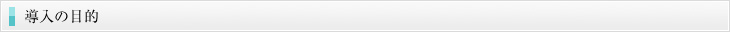 導入の目的