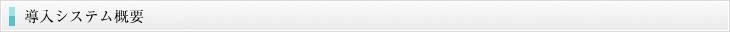 導入システム概要