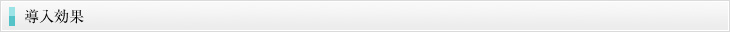 導入効果
