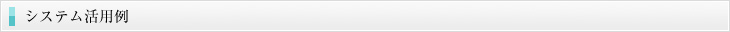 システム活用例